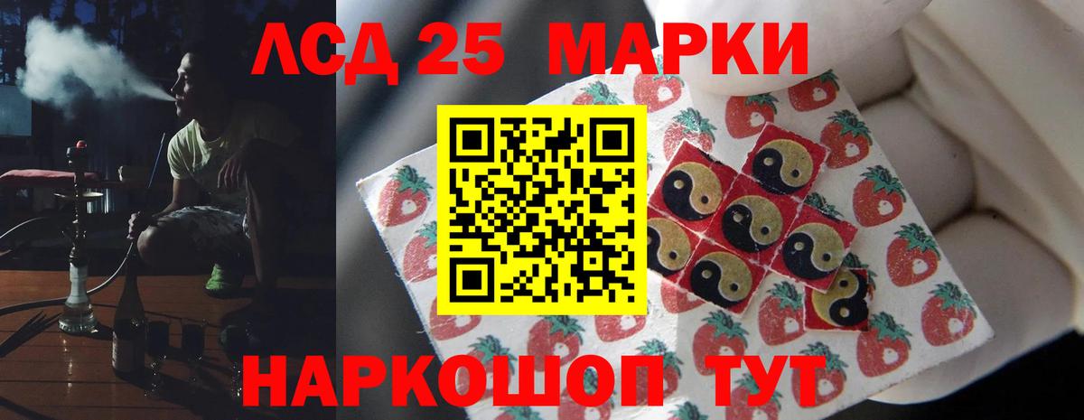 МЕФ Долгопрудный