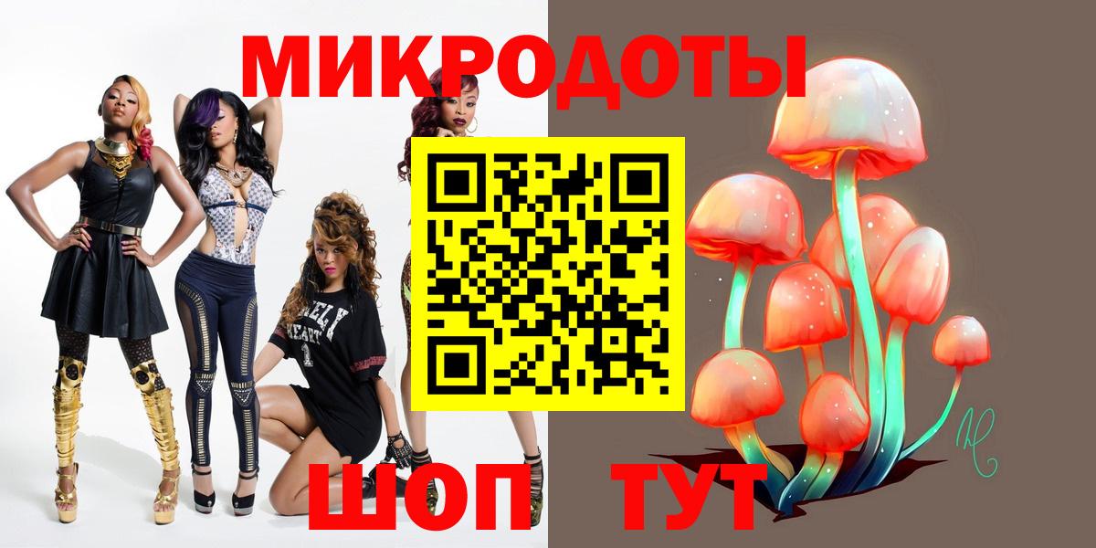 Псилоцибиновые грибы Psilocybe Долгопрудный